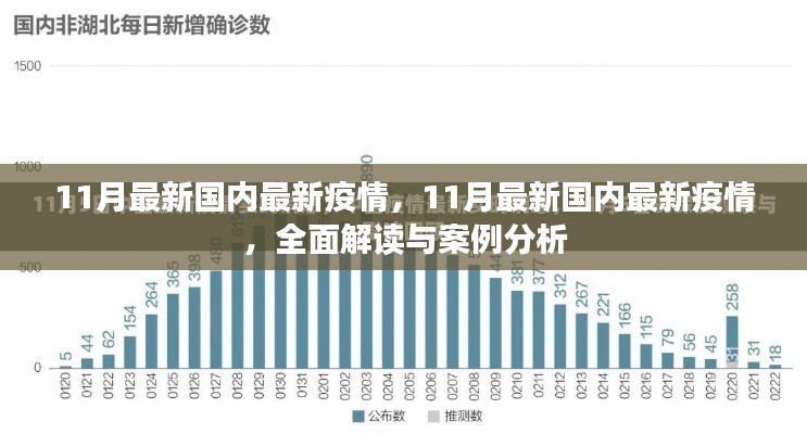 全面解读与案例分析,11月国内最新疫情综述