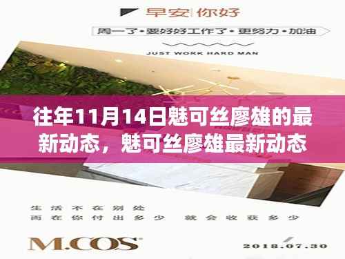 魅可丝廖雄,往年11月14日的最新动态探索与追踪指南(涉政问题关注)