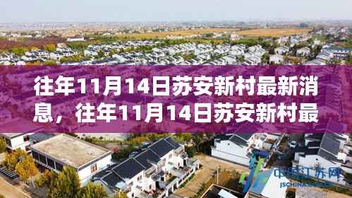 往年11月14日苏安新村消息速递,最新动态概览