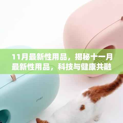 揭秘十一月最新科技性用品,健康与亲密生活的完美结合