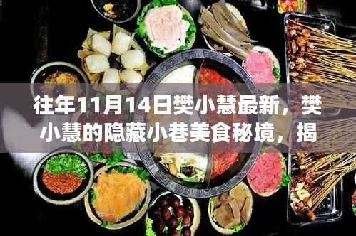 樊小慧隐藏小巷美食秘境,揭秘十一月独特风味的美食之旅