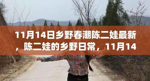 陈二娃乡野日常,11月14日的温馨趣事与友情纽带