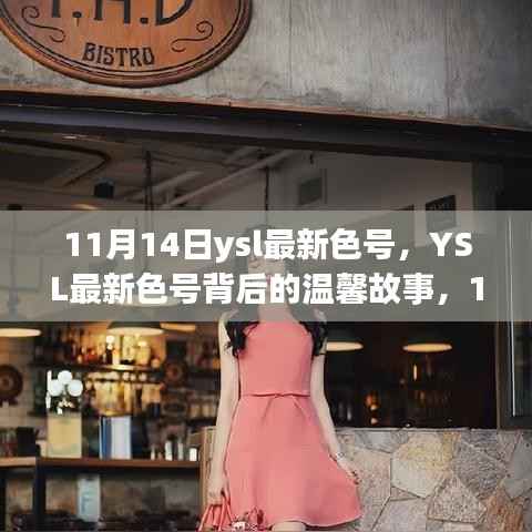 揭秘YSL最新色号背后的故事,11月14日的美丽邂逅与温馨情感