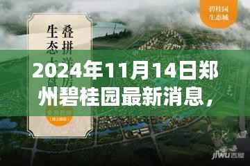 揭秘郑州碧桂园,最新动态全解析(2024年11月14日更新)