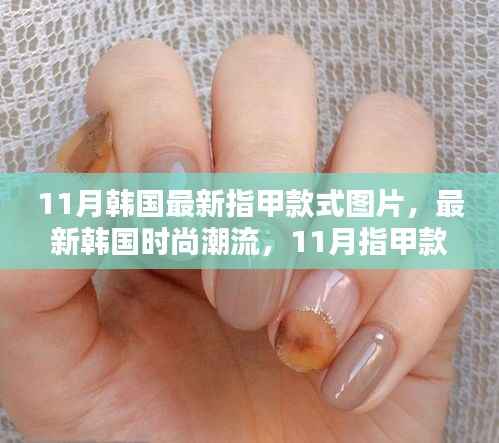 韩国最新时尚潮流,11月指甲款式详解与图片展示