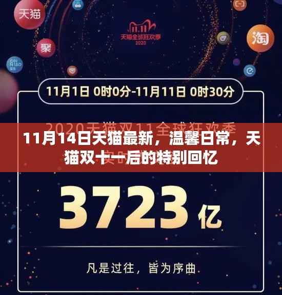 天猫双十一后的特别回忆,温馨日常的最新篇章(11月14日更新)