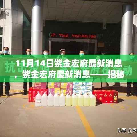 揭秘紫金宏府最新进展与亮点,专刊揭秘(11月最新消息)