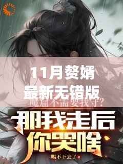 风云再起,探索十一月赘婿最新无错版下载背后的故事