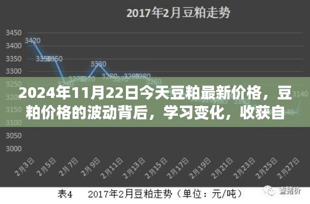 豆粕价格波动背后的故事,学习变化,收获自信与成就感 —— 2024年11月22日豆粕最新价格分析