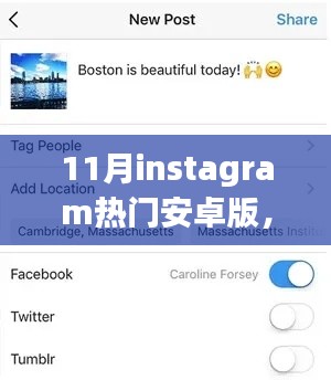 十一月Instagram热门安卓版，与好友共度的温馨之旅