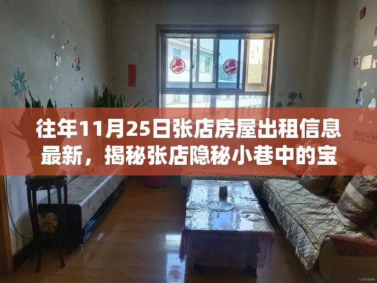 揭秘张店隐秘小巷的宝藏小店,房屋出租新风尚(往年11月25日)