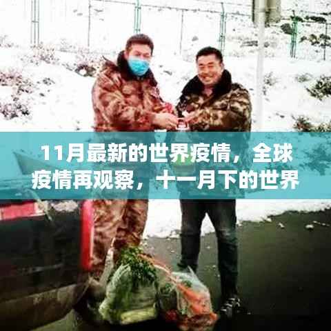 全球疫情再观察,11月疫情背景与影响分析