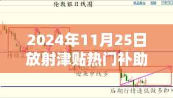 揭秘2024年放射津贴热门补助标准,小巷特色小店探秘