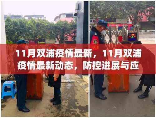 11月双浦疫情最新动态,防控进展及应对措施全面更新