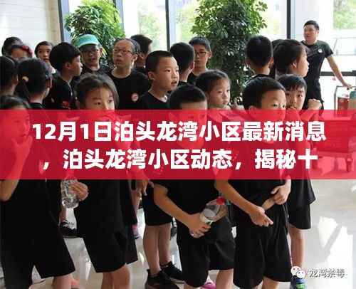 花开无言 第13页