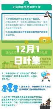 叶集最新新闻视频速递,聚焦时事动态,洞悉12月1日要点