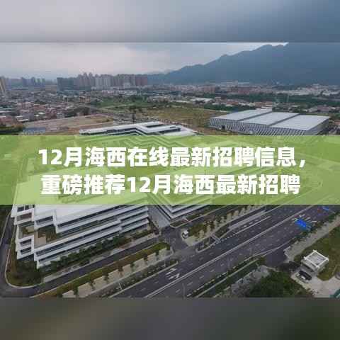 12月海西在线最新招聘信息汇总,优质职位大揭秘