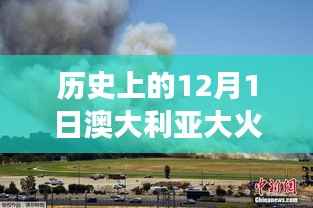 持续关注澳大利亚大火最新动态,历史上的12月1日火势进展报告