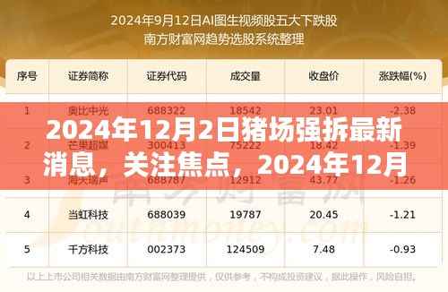 2024年12月2日猪场强拆最新动态及关注焦点