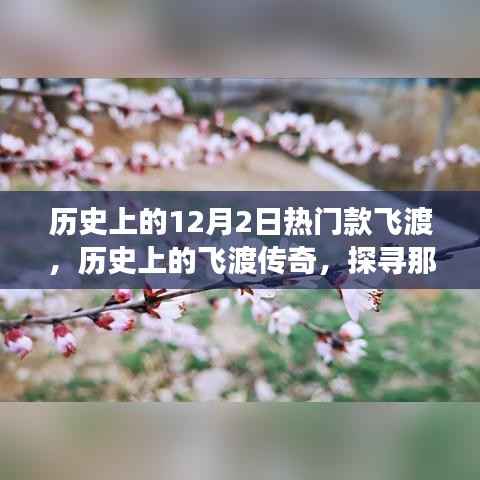 探寻历史上的飞渡传奇,闪耀在12月2日的热门款飞渡故事