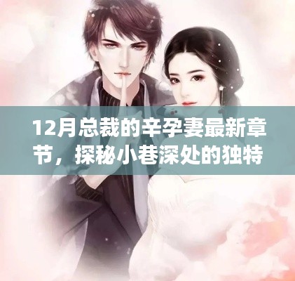 总裁辛孕妻最新章节下的隐秘美食宝藏,探秘小巷深处的独特风味