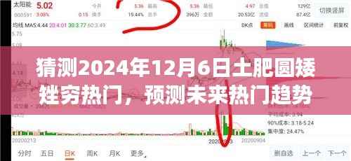 2024年土肥圆矮矬穷流行趋势猜测，详细指南与热门趋势展望