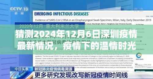 深圳疫情下的温情时光,预测与未来的故事