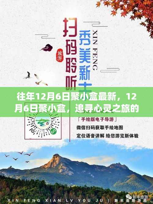 12月6日聚小盒,追寻心灵之旅的奇迹,最新活动回顾