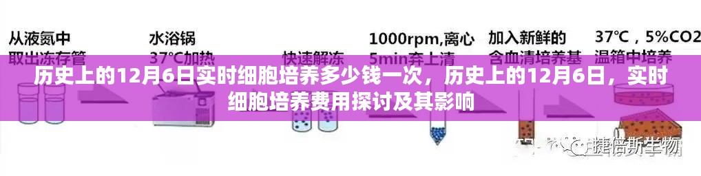 历史上的12月6日实时细胞培养费用探讨,一次的费用及其影响分析