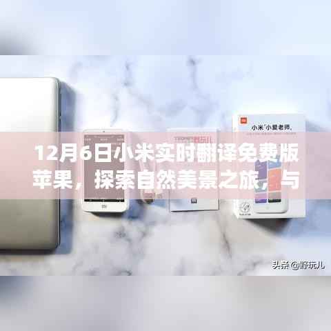 小米实时翻译免费版苹果，探索自然美景之旅的温馨伴侣