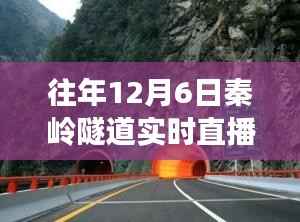 秦岭隧道探秘之旅,与自然美景的邂逅,寻找内心的宁静直播日纪实