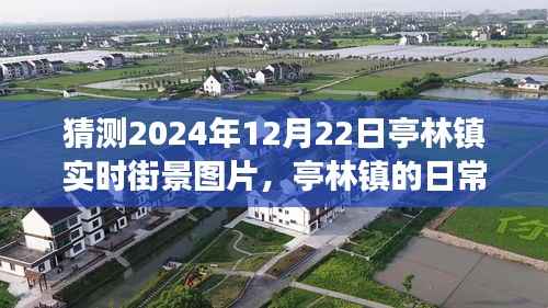 亭林镇未来街景猜想,2024年温馨日常奇遇纪实图片之旅