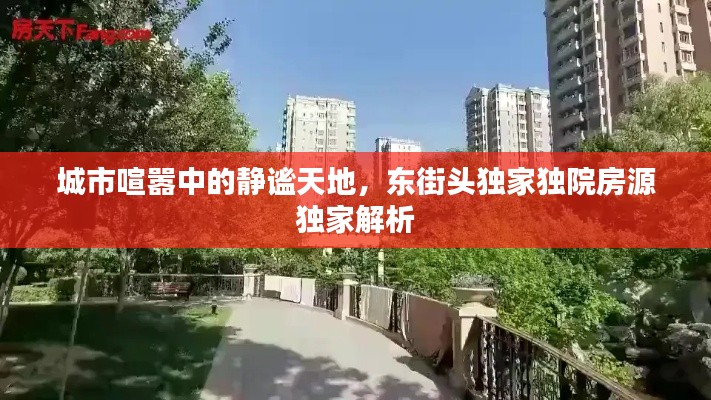 城市喧嚣中的静谧天地，东街头独家独院房源独家解析