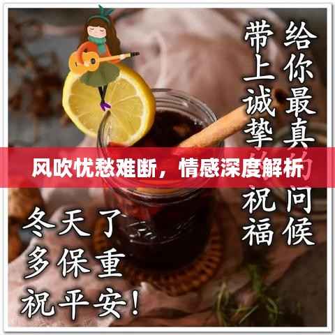 风吹忧愁难断,情感深度解析