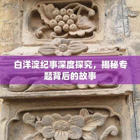 白洋淀纪事深度探究，揭秘专题背后的故事
