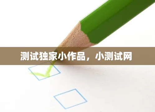 测试独家小作品，小测试网 
