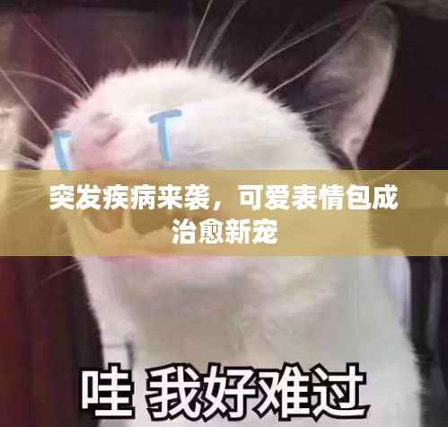 突发疾病来袭,可爱表情包成治愈新宠