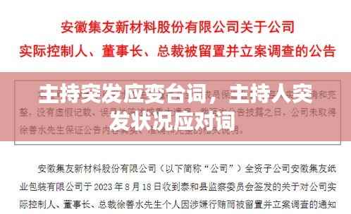 主持突发应变台词,主持人突发状况应对词