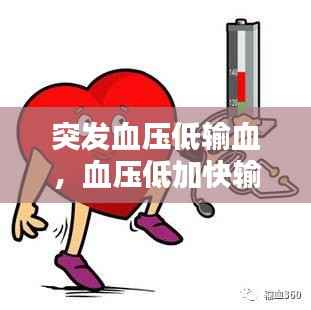 突发血压低输血，血压低加快输液速度 
