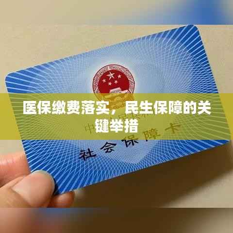 医保缴费落实,民生保障的关键举措