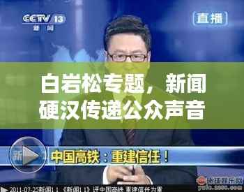 白岩松专题,新闻硬汉传递公众声音