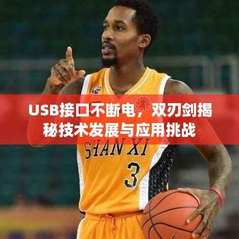 USB接口不断电,双刃剑揭秘技术发展与应用挑战