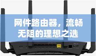 网件路由器，流畅无阻的理想之选