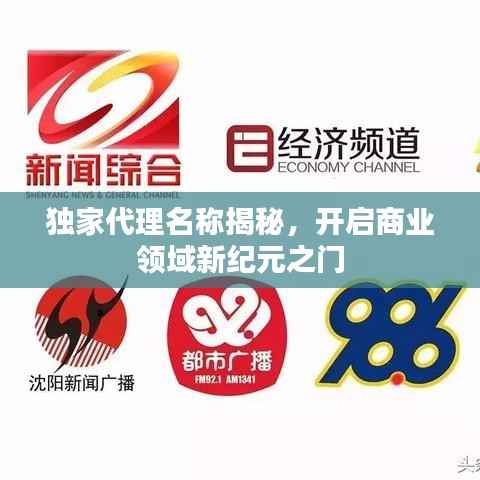 独家代理名称揭秘,开启商业领域新纪元之门
