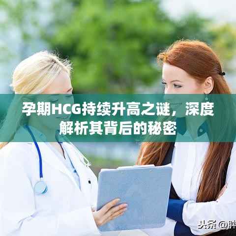 孕期HCG持续升高之谜,深度解析其背后的秘密