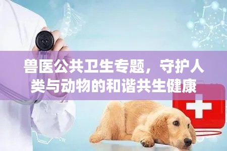 兽医公共卫生专题,守护人类与动物的和谐共生健康