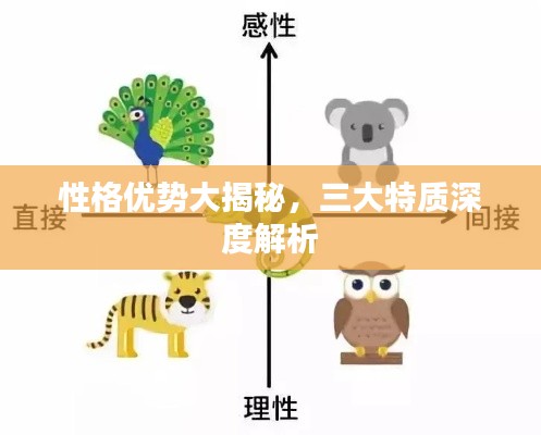 性格优势大揭秘,三大特质深度解析