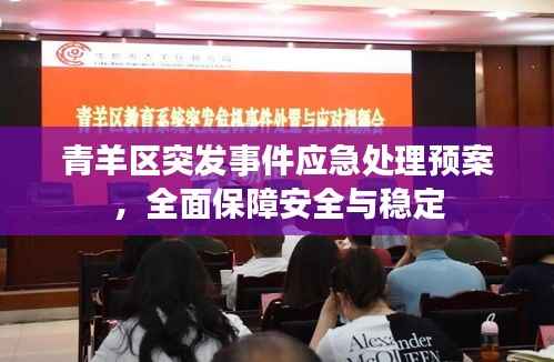 青羊区突发事件应急处理预案,全面保障安全与稳定