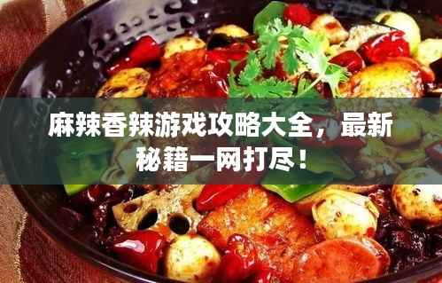 麻辣香辣游戏攻略大全,最新秘籍一网打尽!