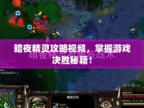 暗夜精灵攻略视频,掌握游戏决胜秘籍!